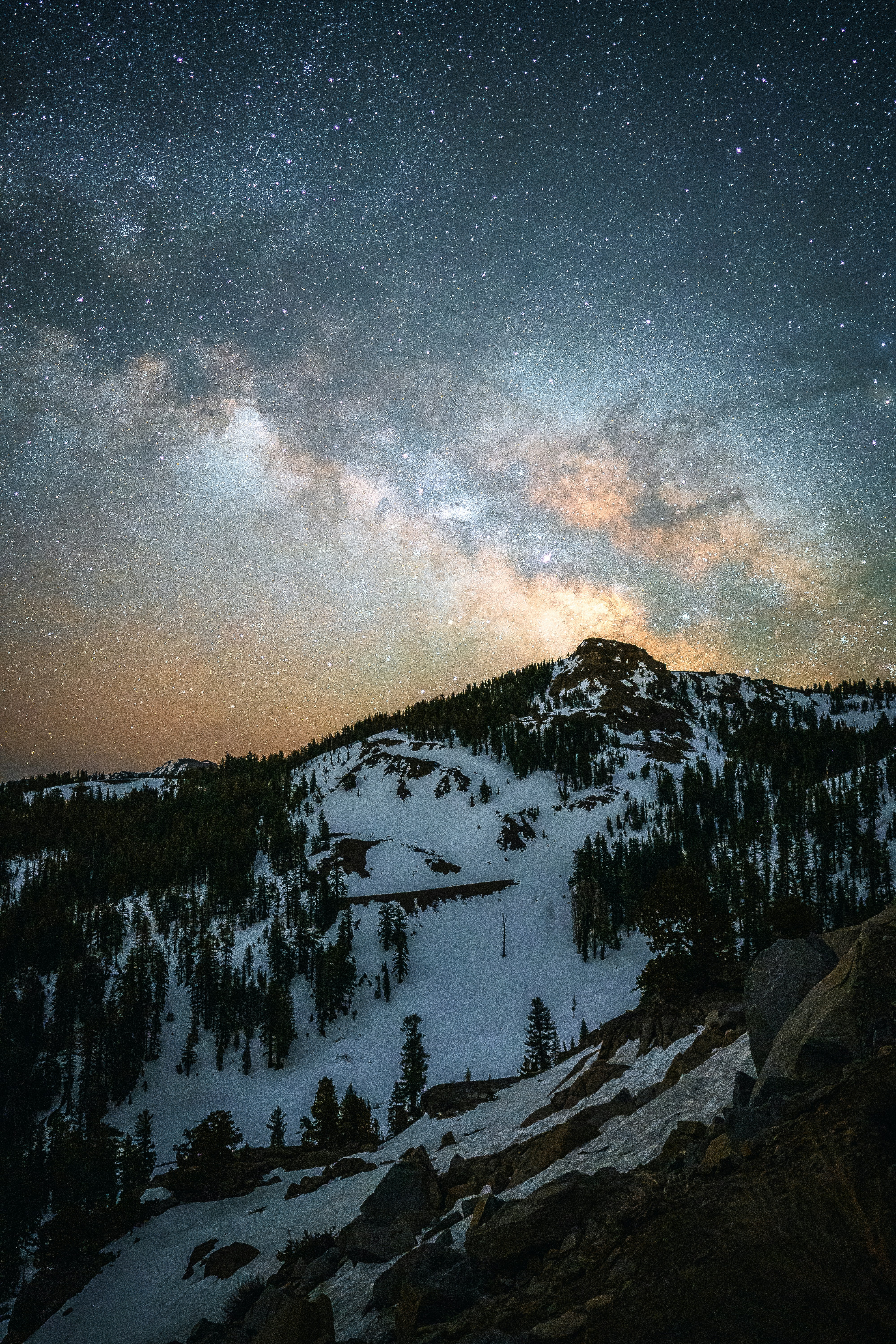 Voice AI in Hospitality: Reduce Call Center Costs While Improving Guest Service